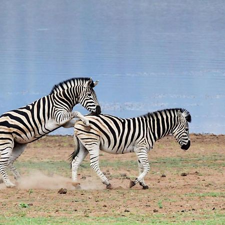 Tented Adventures بيلانسبرغ المظهر الخارجي الصورة
