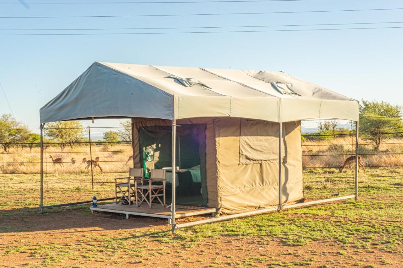 Tented Adventures بيلانسبرغ المظهر الخارجي الصورة